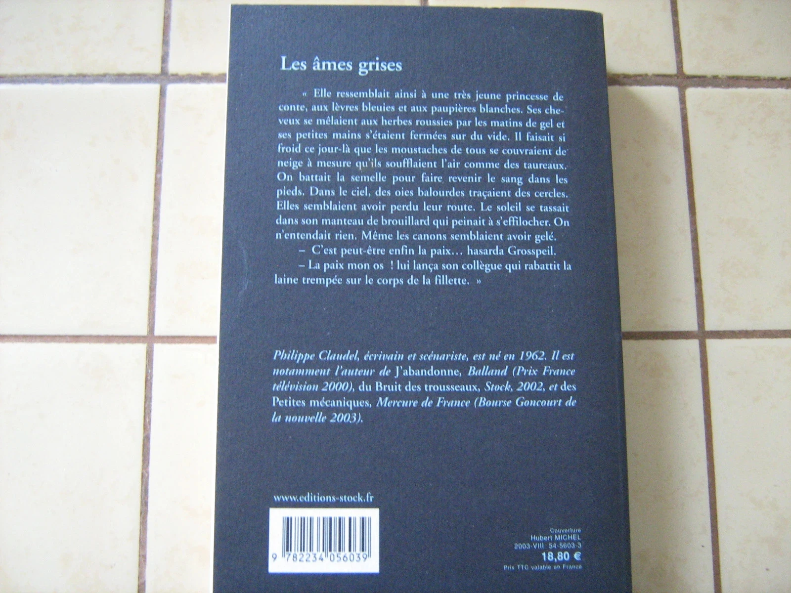 as almas cinzentas – photo 3